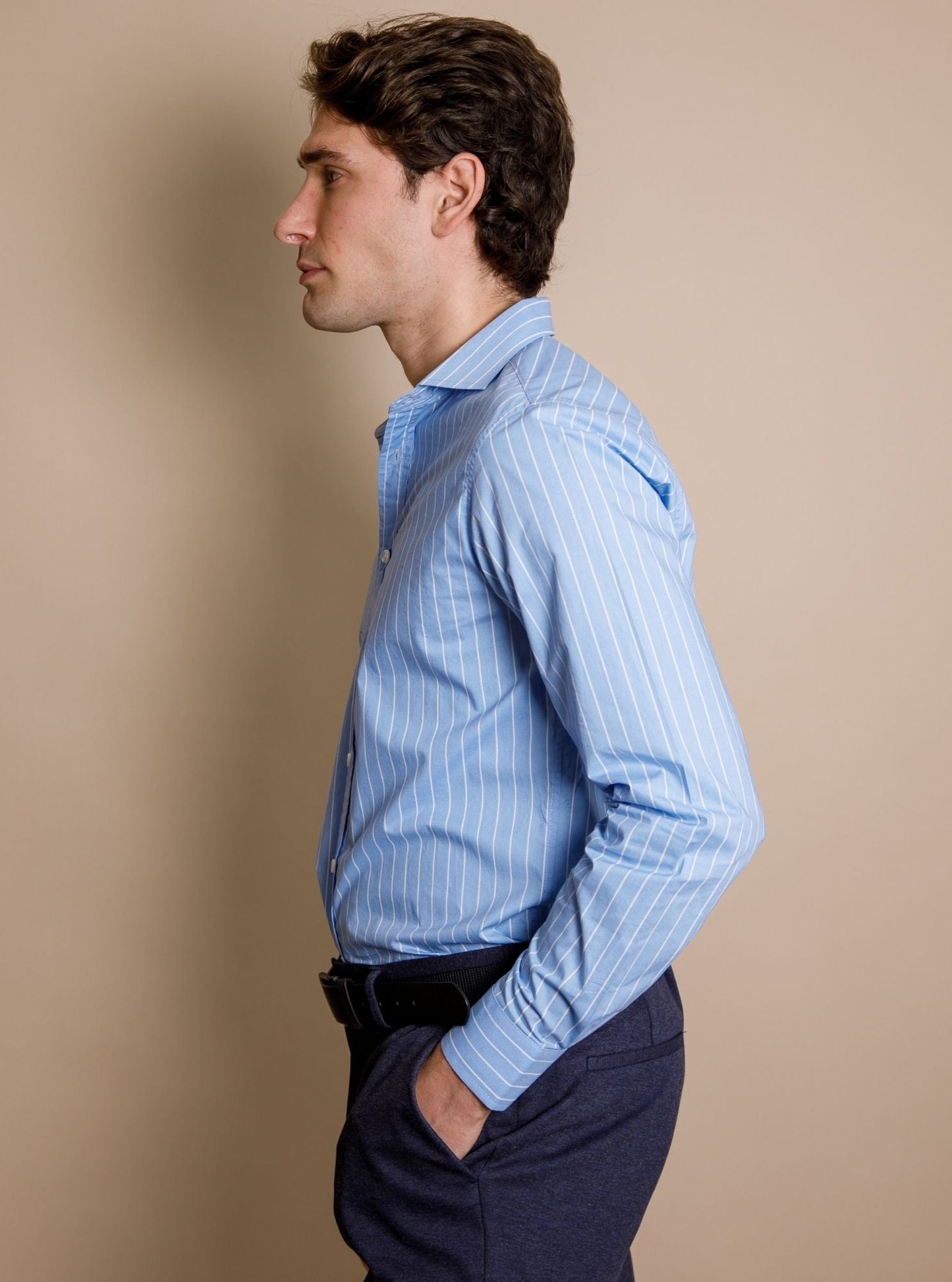 The Ashbourne Striped Shirt